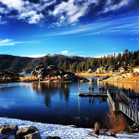 tripadvisor big bear ca|bear attraction for tourists.